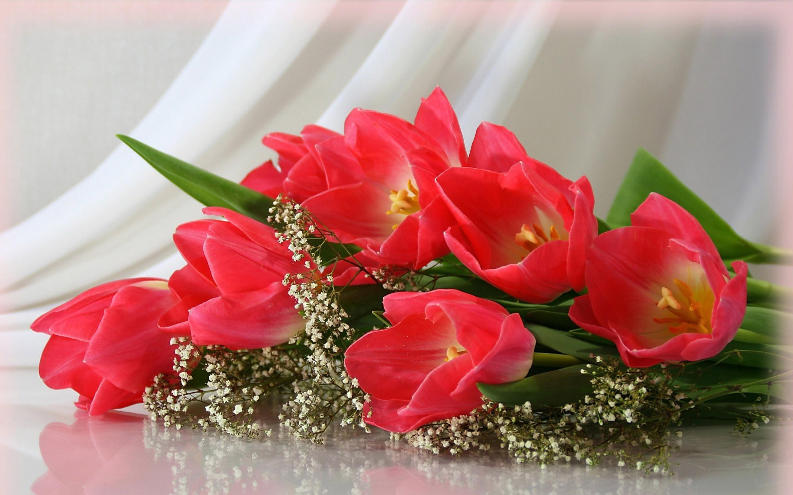 wallpapers flowers 411