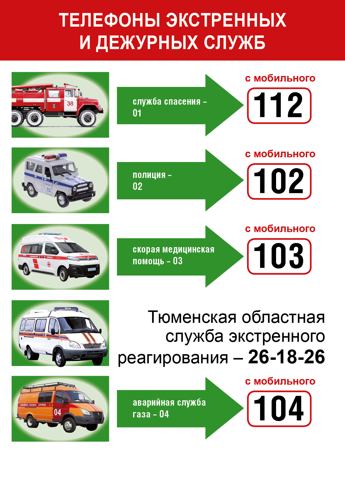 БВО лето ОБОРОТ