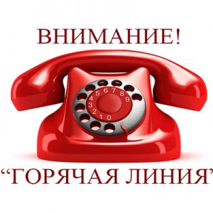 заставка 2